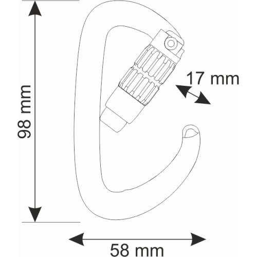 CAMP Orbit 2Lock - Compact, Auto-Locking Carabiner for Anchors, Belay & Rope Work