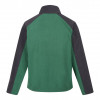 Regatta Hedman Full Zip Fleece Eden Ash