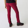 Regatta Mountain Winter WS Trousers Rumba Red