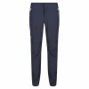 Regatta Mountain Zip Off Trousers India Grey