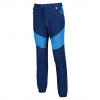 Mountain Hiking Pants - men