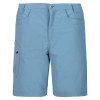 Regatta Delgado Shorts Blue Shadow