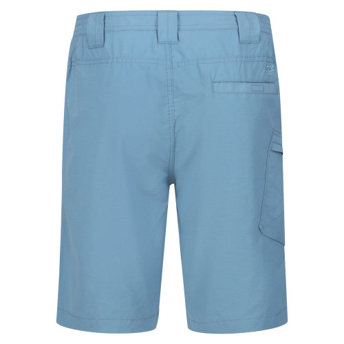 Regatta Delgado Shorts Blue Shadow