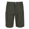 Regatta Delgado Shorts Dark Khaki