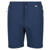 Regatta Mountain Shorts Blue Wing