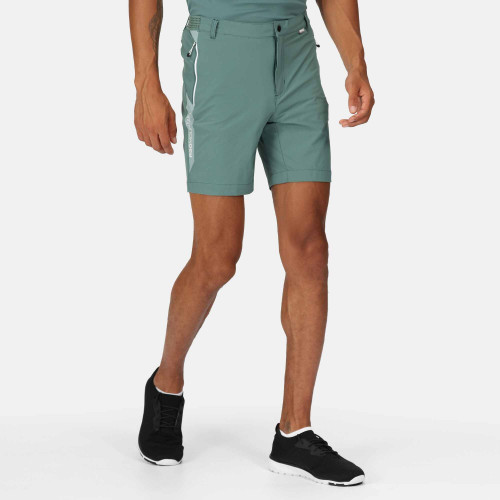 Regatta Mountain Shorts Sea Pine