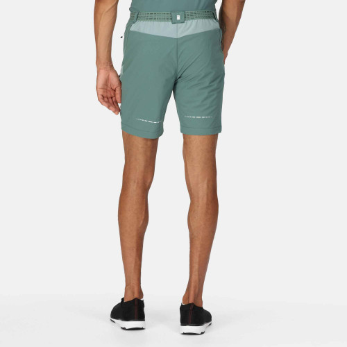 Regatta Mountain Shorts Sea Pine