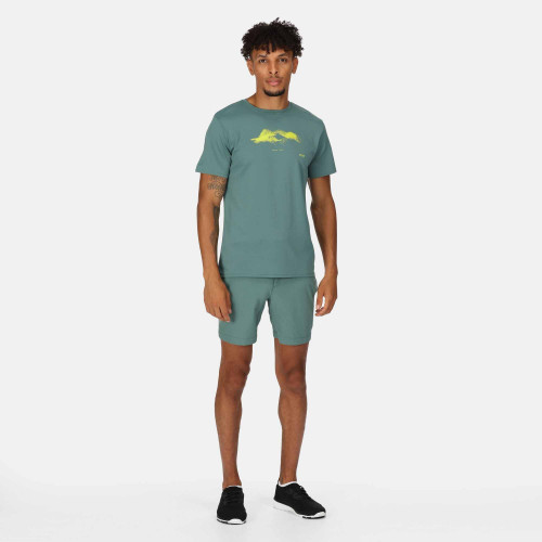 Regatta Mountain Shorts Sea Pine