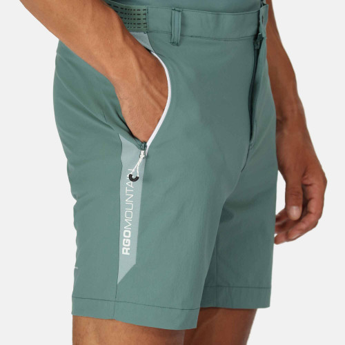 Regatta Mountain Shorts Sea Pine