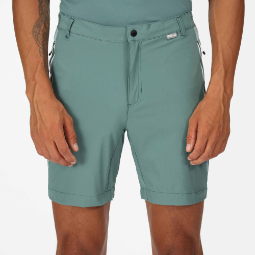 Regatta Mountain Shorts Sea Pine