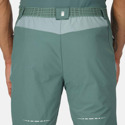 Regatta Mountain Shorts Sea Pine