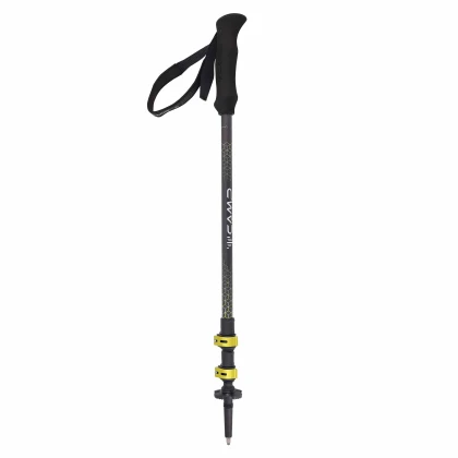 Backcountry Carbon 2.0 - telescopic poles