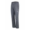 Ski more grey - ski pants - men