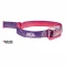 Purple-Pink 