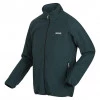 Regatta Hadfield Green Gables Full Zip Fleece