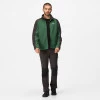 Regatta Hedman Full Zip Fleece Eden Ash