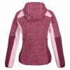 Regatta Walbury Full-Zip Fleece Violet