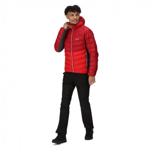 Regatta Harrock Hooded Puffer Jacket Dark Red