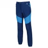 Mountain Hiking Pants - men