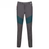 Mountain Hiking Pants - men