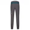 Mountain Hiking Pants - men