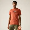 Regatta Breezed Brick T-Shirt