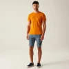 Regatta Breezed Fox T-Shirt