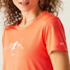 Regatta Fingal T-Shirt Satsuma