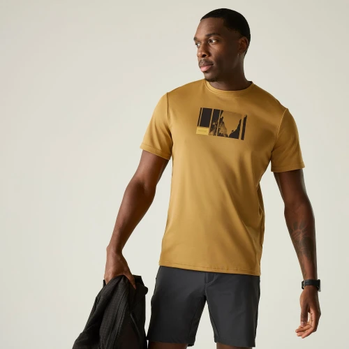 Regatta Fingal T-Shirt Wood Brown