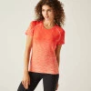 Regatta Laxley Satsuma T-Shirt