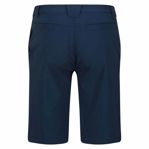 Regatta Highton Long Shorts Blue Wing