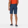 Regatta Highton Long Shorts Blue Wing