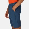 Regatta Highton Long Shorts Blue Wing