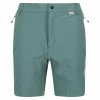 Regatta Mountain Shorts Sea Pine