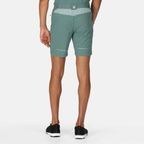 Regatta Mountain Shorts Sea Pine