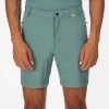 Regatta Mountain Shorts Sea Pine
