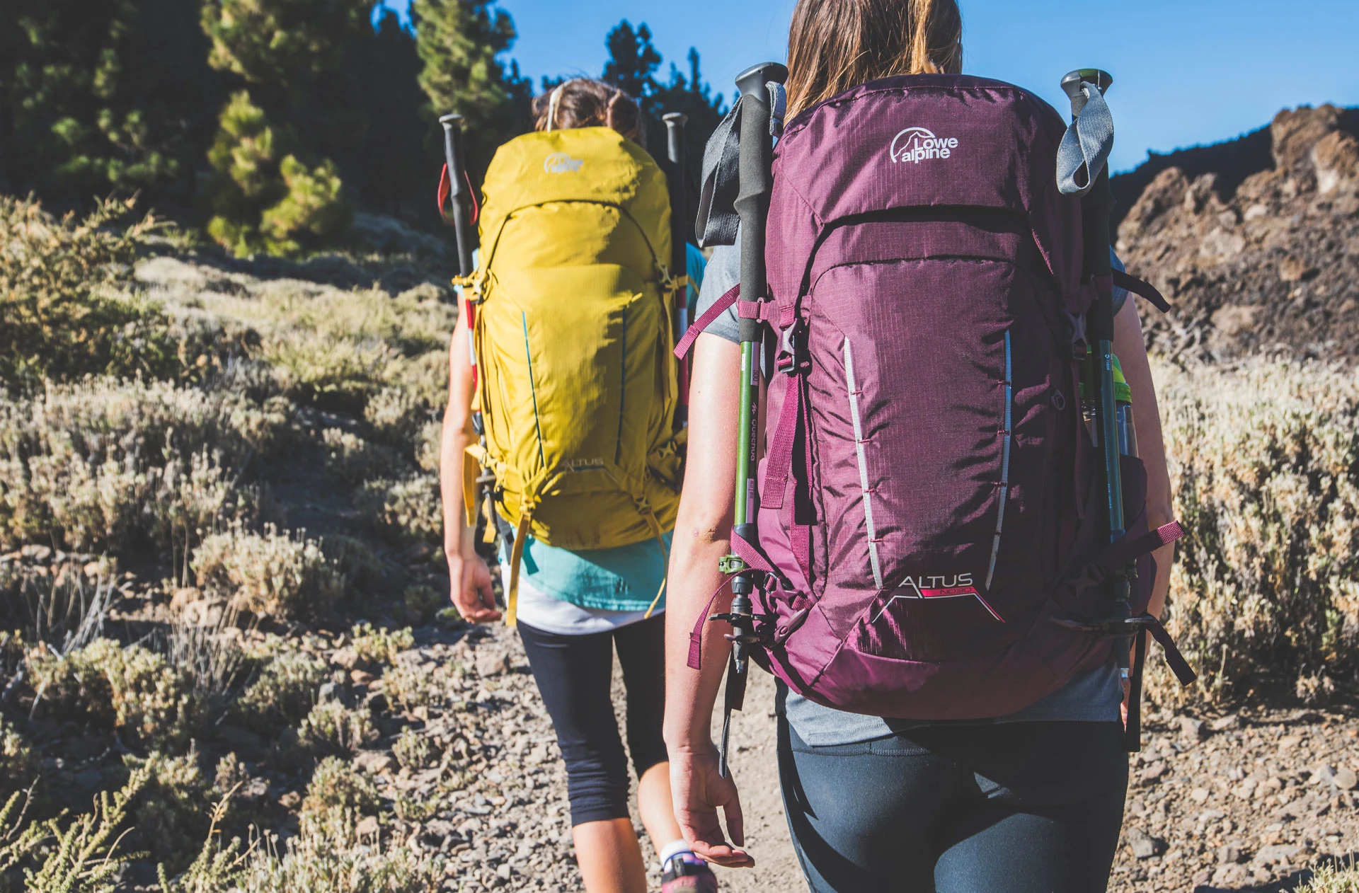Exploring Deuter vs. Alternatives: Why Lowe Alpine Packs at Action‑Section.com Stand Out